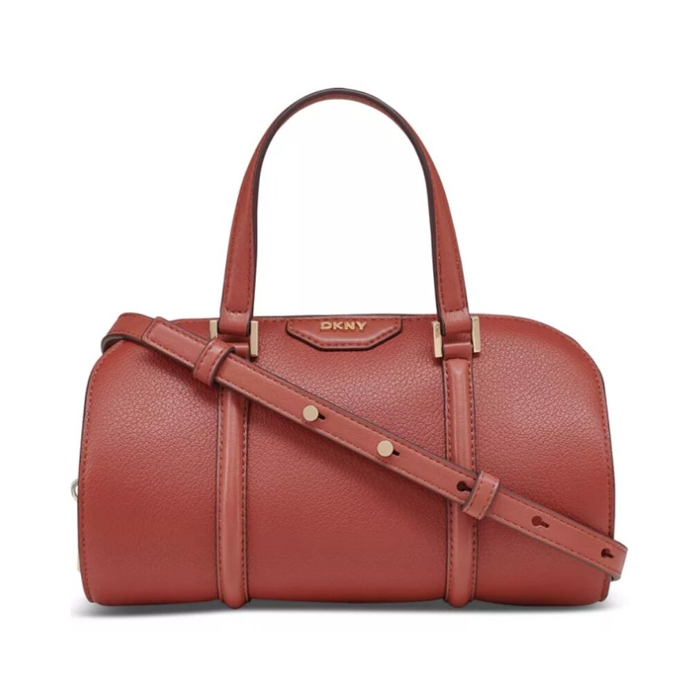 DKNY Cedar Mini Leather Crossbody Satchel Bag